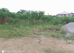 Land for sale Alpha Grace Estate, Idi Ishin Extension, Ibadan Oyo