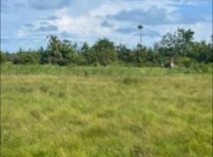 Land for sale Eleko Ibeju-Lekki Lagos