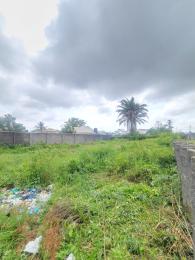 Commercial Property for sale Oke Ira Nla Ado Road Ajah Lagos