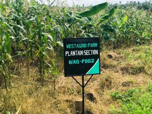 Land for sale Remo North Ogun