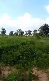 Land for sale Igbonla Area, Epe Lagos