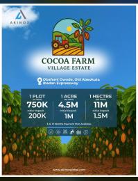 Land for sale Obafemi Owode Ogun