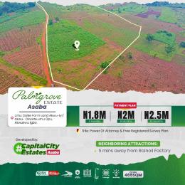 Land for sale Umu Daike Farm Land,akwu Iyi/akwu Okwote/ Palm Groove Estate/umu Opu, Akwukwu Igbo In Oshimili North Lga Asaba Delta