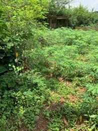 Land for sale Alalubosa Gra Alalubosa Ibadan Oyo