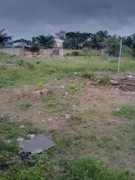 Land for sale Serene Badore Ajah Lagos