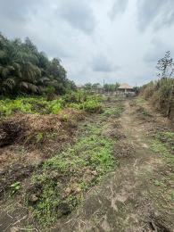 Land for sale Magboro Behind Prayer Ciry Arepo Arepo Ogun