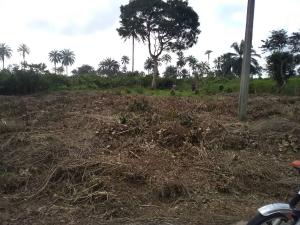 Land for sale Along Airport Road Uruan Akwa Ibom