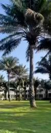 Land for sale Ikate Lekki Lagos