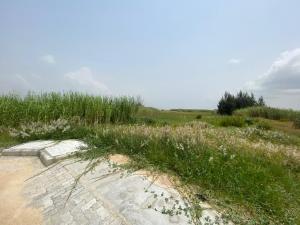 Land for sale Freedom Way Lekki Lagos