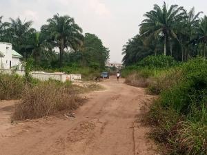 Land for sale 300 Plots Of Land For Sale In Mgbirichi Ph Road Ohaji/Egbema Imo