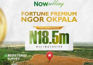 Land for sale Ngor-Okpala Imo