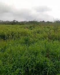 Land for sale Tribune Arepo Magboro Obafemi Owode Ogun