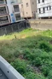 Land for sale Aguda Itire Ikate Ijesha Surulere Lagos