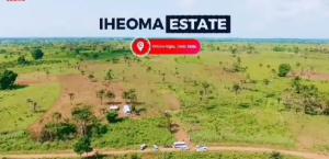 Land for sale Onicha Ugbo Aniocha South Delta