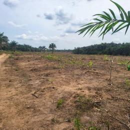 Land for sale Fortune Garden Ogwashi Uku Aniocha South Delta