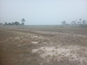 Land for rent Ilara Epe Lagos 2 Minutes Drive After Augustine University Epe Road Epe Lagos