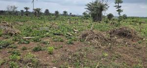 Land for sale Close To Imota Rice Mill, Nysc Orientation Camp, Lagos State Housing Estate, Caleb University, Lasustech & Ijede Ferry Terminal. Imota Ikorodu Lagos