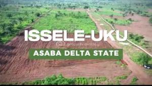 Land for sale Iseluku Aniocha Delta