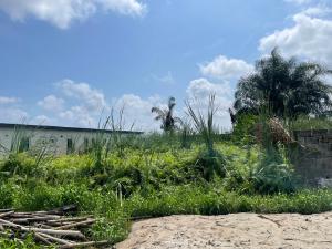 Land for sale Monastery road Sangotedo Lagos