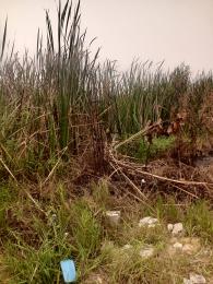 Land for sale Palm Crescent Estate Badore Ajah Lagos