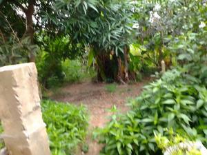 Land for sale Mayegun Luboru Community Off Ofada Road, Mowe Ofada Obafemi Owode Ogun