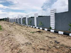 Land for sale Free Trade Zone Ibeju-Lekki Lagos