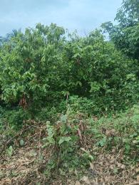 Land for sale Anua Near The Ring Road Uyo Akwa Ibom