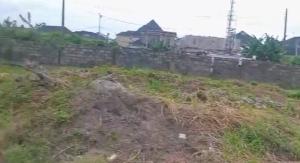 Land for sale Sangotedo Ajah Lagos