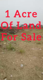 Land for sale Lasu Iyana Iba Road Amuwo Odofin Lagos
