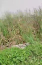 Land for sale Opposite Crown Estate, Sangotedo Ajah Lagos