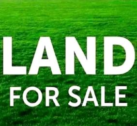 Land for sale James George Street Alagbon Ikoyi Lagos