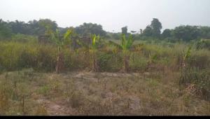 Land for sale Ogudu-Orike Ogudu Lagos