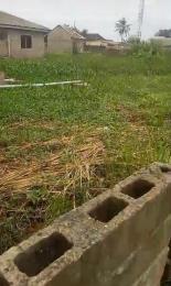 Land for sale Ire Akari Isolo Lagos