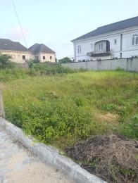 Land for sale Diamond Estate Phase 2, Ajayi Apata, Sangotedo Ajah Lagos