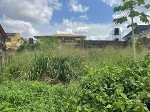 Land for sale Akala Express Ibadan Oyo
