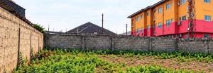 Land for rent Funsho Williams Avenue Iponri Surulere Lagos