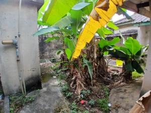 Land for sale Omole Phase 1 Estate Ojodu Lagos