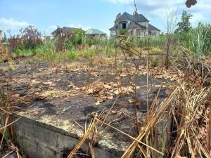 Land for sale Idowu Estate,oke Ira Nla Ajah Lagos