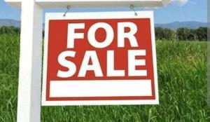 Land for sale Adeniyi Jones Ikeja Lagos