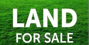 Land for sale (osborne Road) Ikoyi Lagos