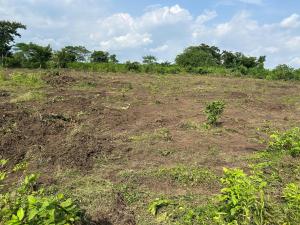 Land for sale Aba's Court Located At Lagbin Ido Ologun Eru Eleyele Ibadan North -East Oyo