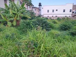 Land for sale Williams Estate Akowonjo Alimosho Lagos