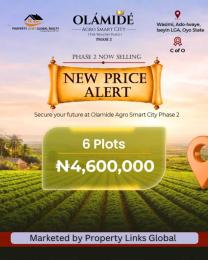 Land for sale Olamide Agro Smart City Estate Located In A Developed Area, Iseyin Oyo