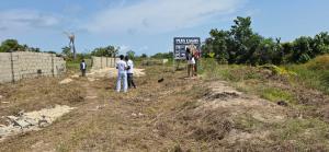 Land for sale Plus Lagos With Accessible Road Network Abijo Ajah Lagos