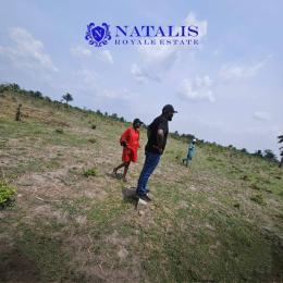 Land for sale Natalis Royale Estate Located At Mowe Ofada Obafemi Owode Ogun