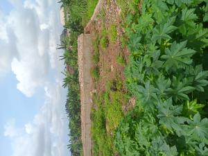 Land for sale Iyana School Iba Ojo Lagos