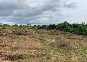 Land for sale Cocoa Farm Estate Located At Olabisi Onabanjo University Road Ago Iwoye Ake Ijebu Ode Ijebu Ode Ogun