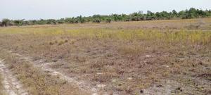 Land for sale Sun City Phase 1 Extension Located At Ode Omi Via La Campagne Tropicana Ibeju-Lekki Lagos