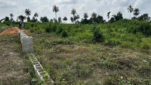 Land for sale Elegant City Located At Ibefun Village Off Ijebu Ode Road Ikorodu Lagos