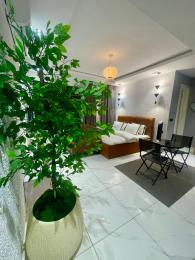 1 bedroom Flat / Apartment for shortlet Lekki Phase 1 Ikate Lekki Lagos